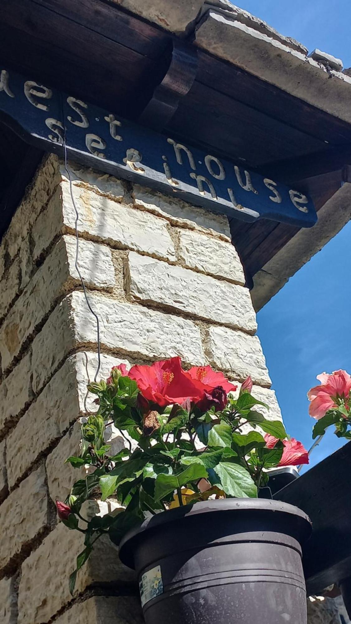 Guesthouse Selini Vitsa Luaran gambar